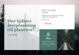 Webbplatsdesign Skogs Betydelse För Alla Enheter