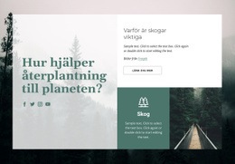 Skogs Betydelse - Nedladdning Av HTML-Mall