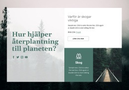 HTML-Webbplats För Skogs Betydelse