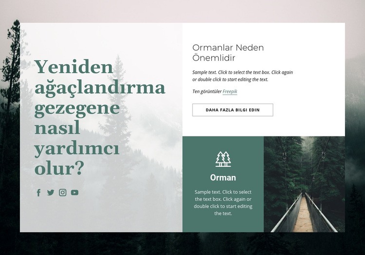 Ormanların önemi Web Sitesi Mockup'ı