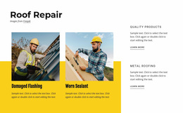 An Exclusive Website Design For Roof Repair Services