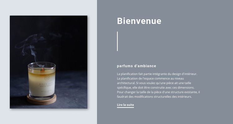 Parfums d'ambiance Modèle de site Web