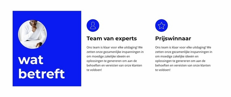 Online lesgeven Website mockup