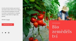 Zásady Ekologického Zemědělství – Bezplatná Šablona Webových Stránek