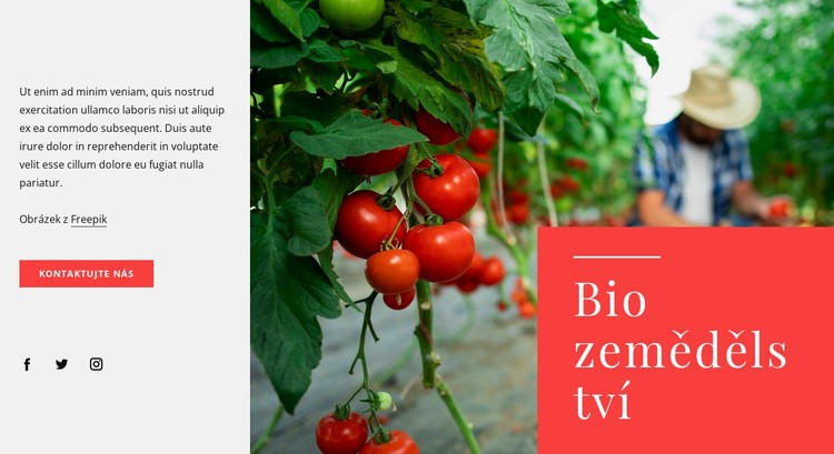 Zásady ekologického zemědělství Šablona webové stránky