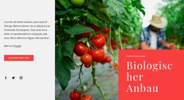 Grundsätze Des Ökologischen Landbaus - Online HTML Generator