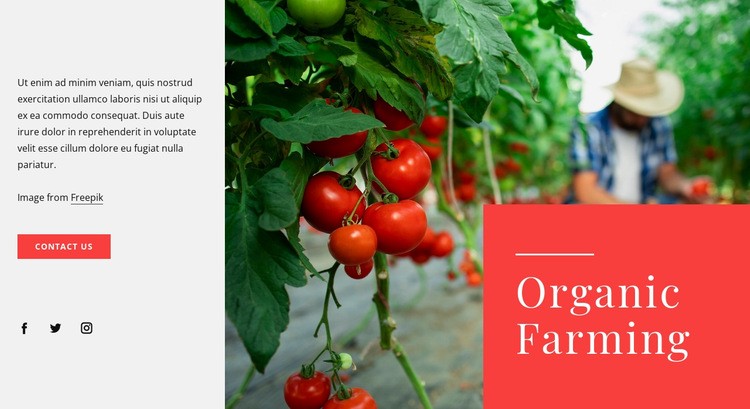 Organic farming principles Elementor Template Alternative