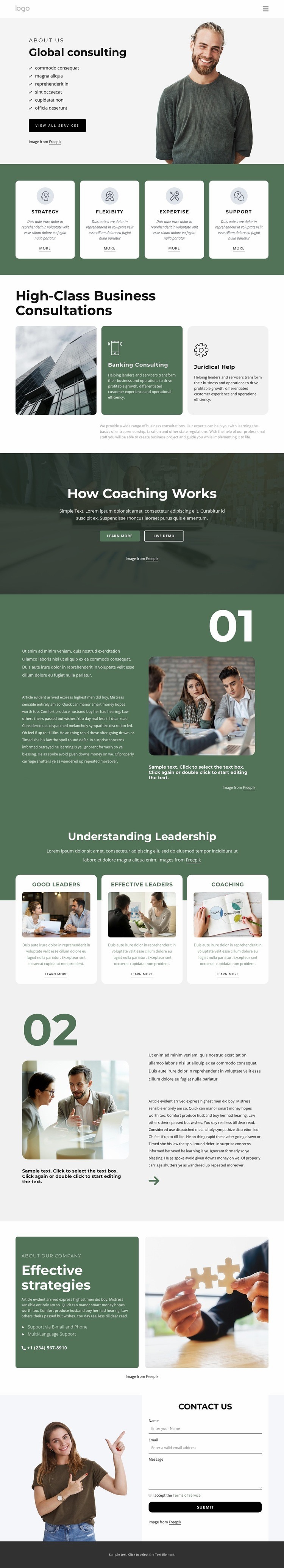 Global consulting firm Elementor Template Alternative
