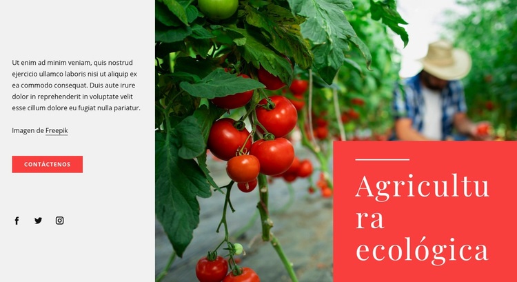 Principios de la agricultura ecológica Plantillas de creación de sitios web