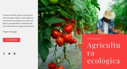 Principios De La Agricultura Ecológica - Hermoso Diseño De Sitio Web