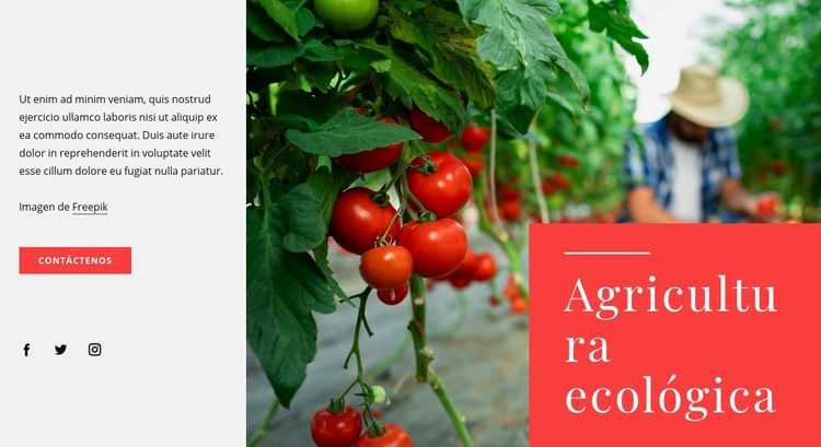 Principios de la agricultura ecológica Maqueta de sitio web