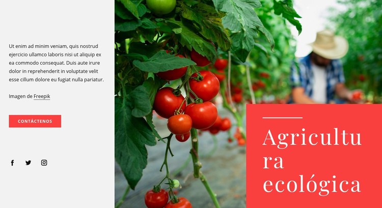 Principios de la agricultura ecológica Plantilla CSS