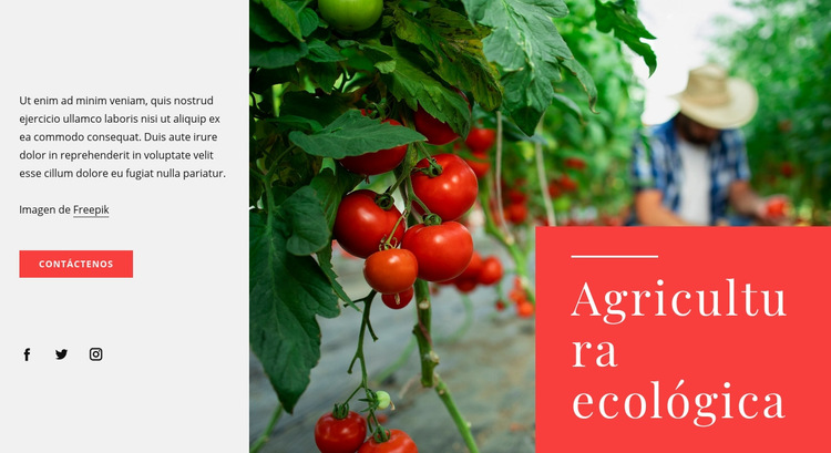 Principios de la agricultura ecológica Plantilla de sitio web