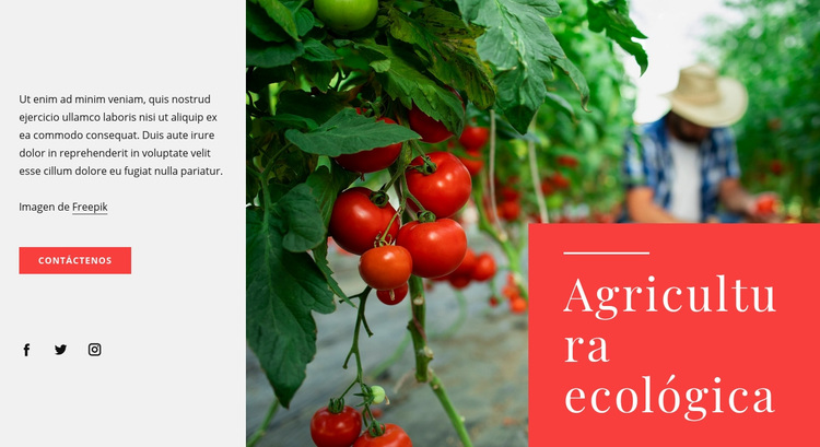 Principios de la agricultura ecológica Tema de WordPress