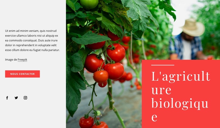 Principes de l'agriculture biologique Modèles de constructeur de sites Web