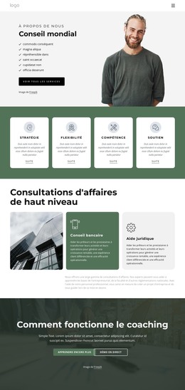 Conception HTML Pour Cabinet De Conseil Mondial