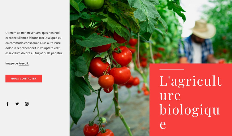 Principes de l'agriculture biologique Thème WordPress