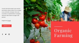 Organic Farming Principles - Free Website Template