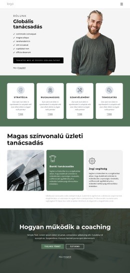 Globális Tanácsadó Cég – Használatra Kész WordPress Téma