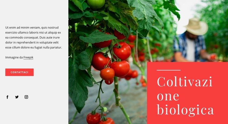 Principi dell'agricoltura biologica Costruttore di siti web HTML
