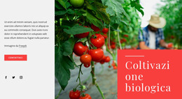 Principi Dell'Agricoltura Biologica - Modello Di Pagina HTML