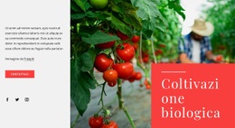 Principi Dell'Agricoltura Biologica - Modello HTML5 Reattivo