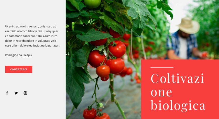 Principi dell'agricoltura biologica Tema WordPress