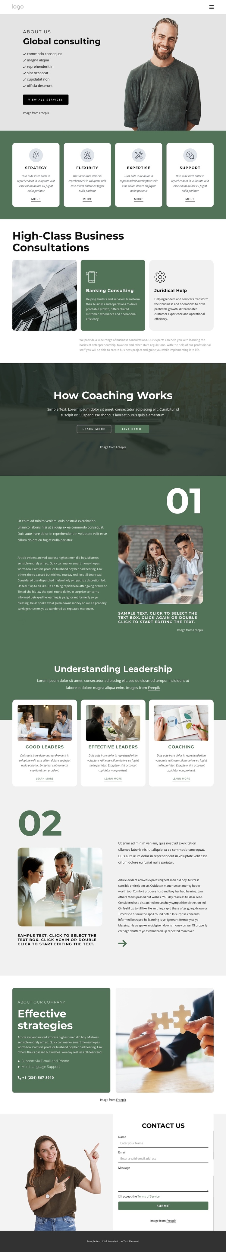 Global consulting firm One Page Template