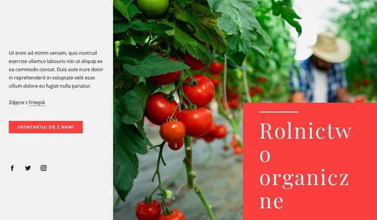 Zasady rolnictwa ekologicznego Kreator witryn internetowych HTML