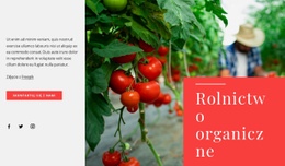 Zasady Rolnictwa Ekologicznego - Makieta Online