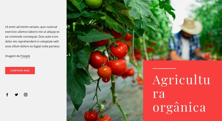 Princípios da agricultura orgânica Maquete do site