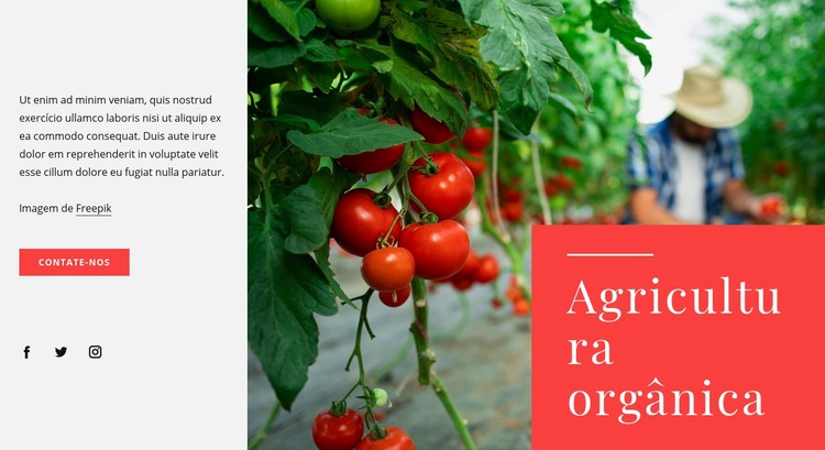 Princípios da agricultura orgânica Template CSS