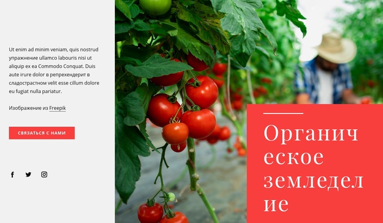 Принципы органического земледелия HTML5 шаблон