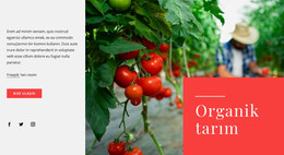 Organik Tarım Ilkeleri - HTML Sayfası Şablonu
