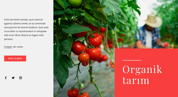 Organik tarım ilkeleri HTML Şablonu