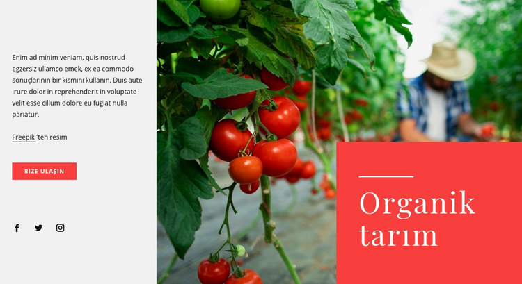 Organik tarım ilkeleri Web Sitesi Şablonu