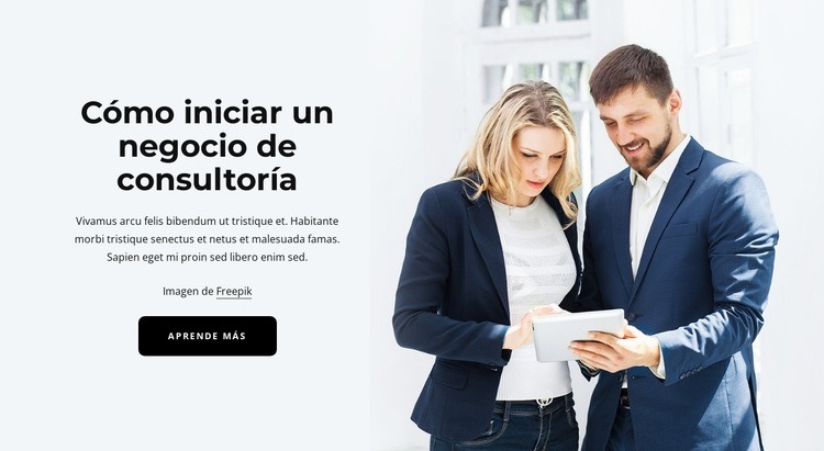 consultoría de negocios Plantillas de creación de sitios web