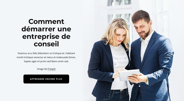 Entreprise de conseil Modèles de constructeur de sites Web