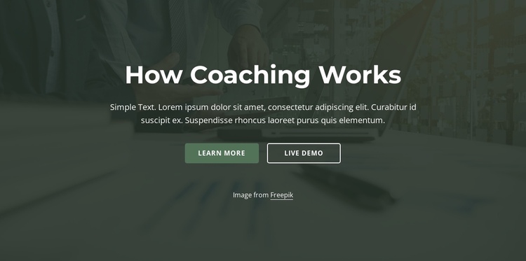 How coaching work One Page Template