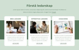 Bra Ledare Gratis CSS-Webbplatsmall