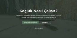 Koçluk Nasıl Çalışır?