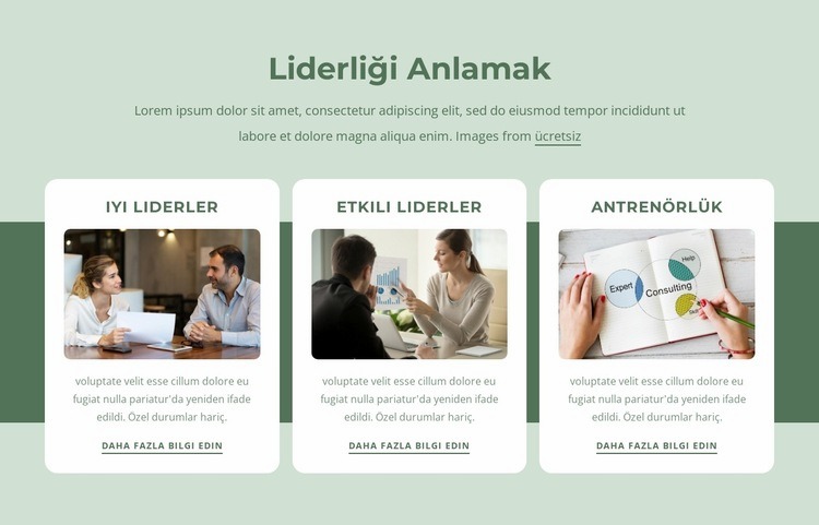 iyi liderler Web Sitesi Oluşturucu Şablonları