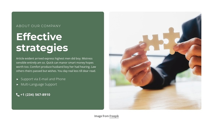 Effective strategies One Page Template