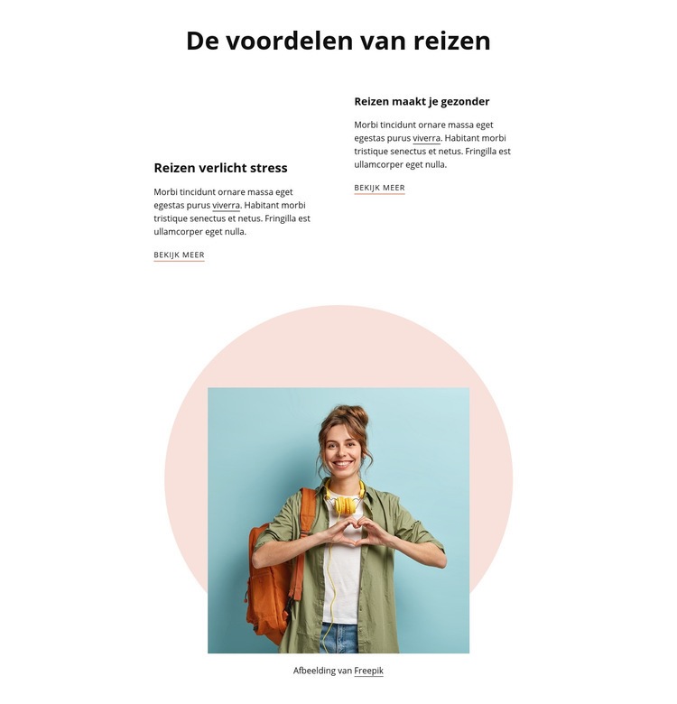 Voordelen van reizen Html Website Builder