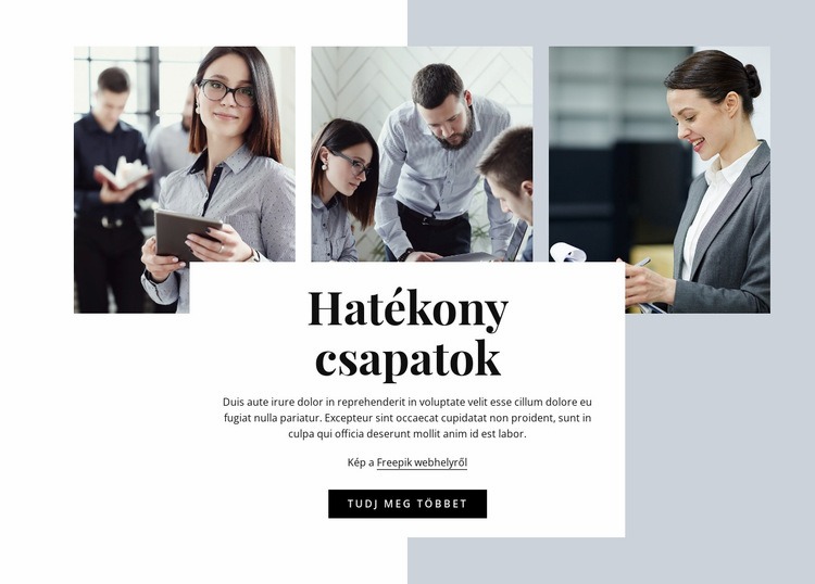 Hatékony csapat WordPress Téma