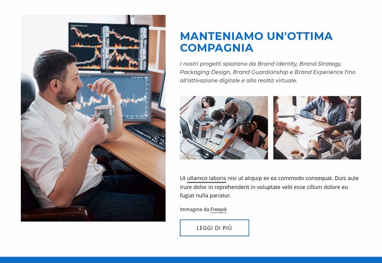 Ottima compagnia Mockup del sito web