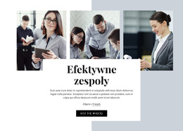 Oszałamiający Motyw WordPress Dla Efektywny Zespół