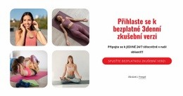 Rozvržení Webu Pro Newyorský Sportovní Klub