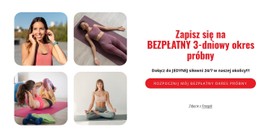 Klub Sportowy W Nowym Jorku Szablon Układu CSS