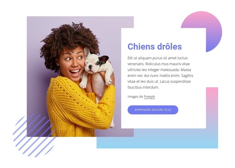 Chiens drôles Conception de site Web